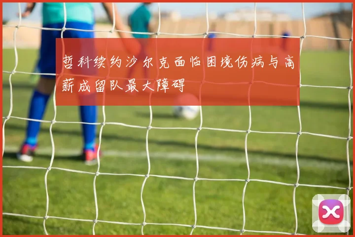哲科续约沙尔克面临困境伤病与高薪成留队最大障碍